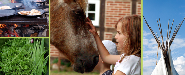 Naturverbindung Tiere Pferde Kinder Achtsamkeit Wertschätzung